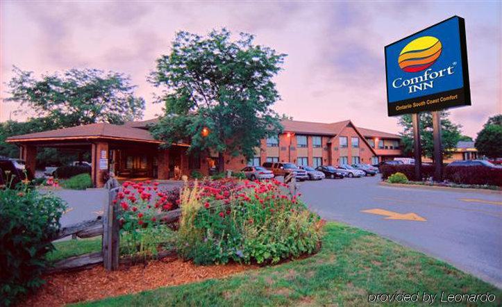 Comfort Inn Simcoe Luaran gambar